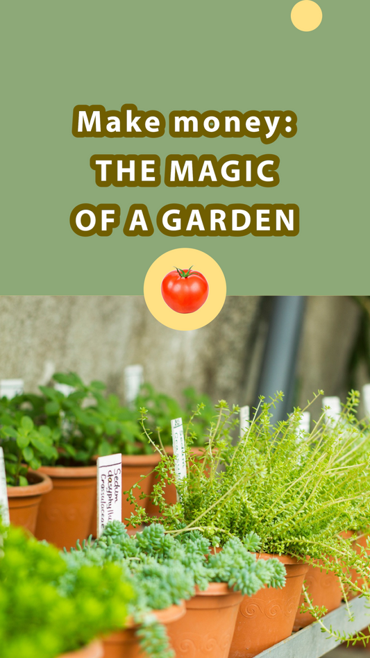 Transformer vos tomates en opportunité de business : Astuces pratiques