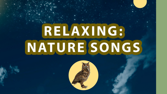 Conseils Rapides pour Se Détendre : Trouvez votre Calme en Quelques Minutes 🧘‍♂️🌿